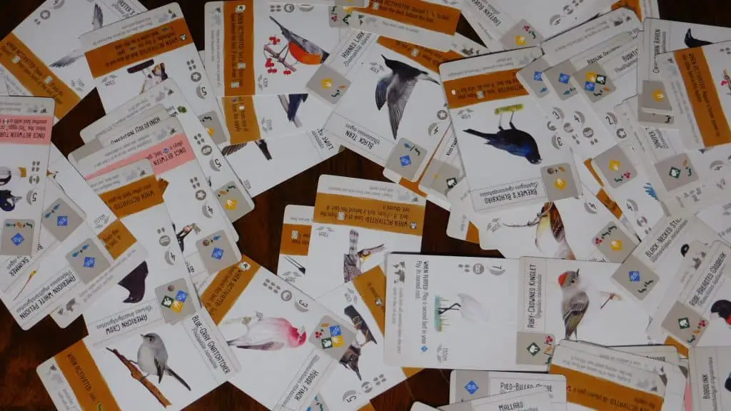 A closeup of some scattered Wingspan cards.